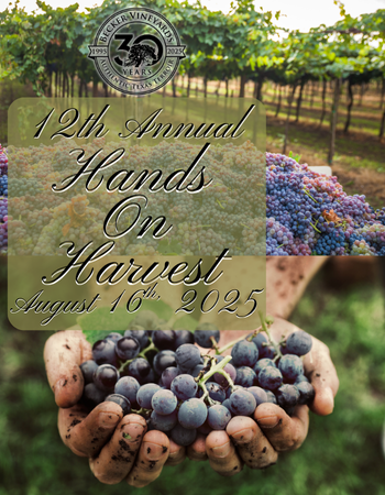 Wine Club Hands On Harvest 2025