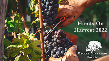 Wine Club Hands On Harvest 2022