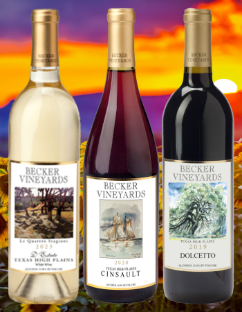 Virtual Tasting-Summer Fun Collection