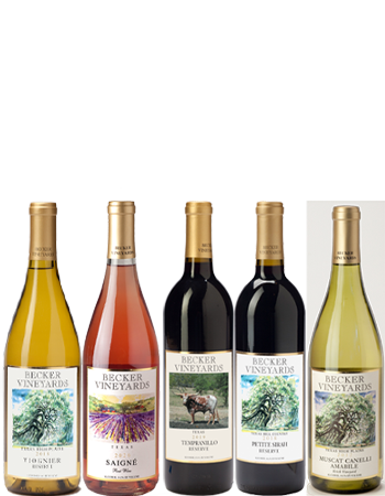 Virtual Tasting - St.E.RTRT2522