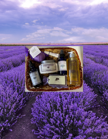 Valentine Lavender Basket 2023