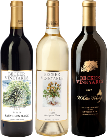 Virtual Tasting 3 Pack - Stunning Sauvignon Blanc