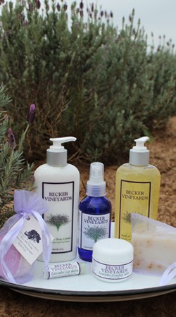 Lavender Essentials Bundle