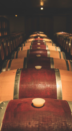 Saturday, December 28 - Reserve Library Tasting