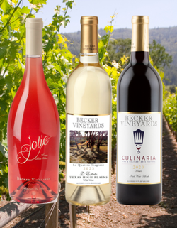 Virtual Tasting-Grape Stomp Extravaganza