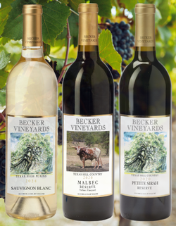 Virtual Tasting-Hands On Harvest Highlight