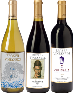 Virtual Tasting- Rundown of Rhône